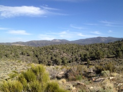 20120514-220308.jpg