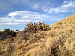 20120527-202900.jpg