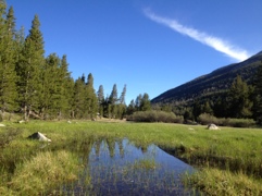 20120614-083639.jpg
