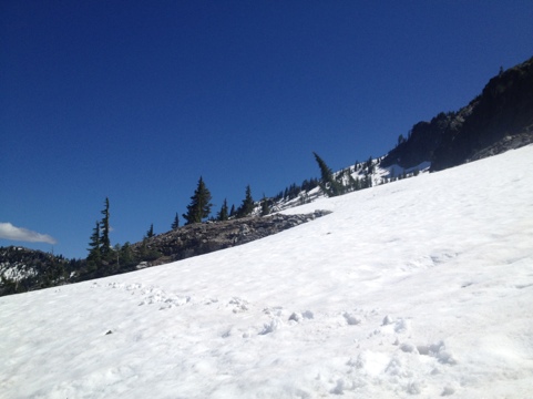 20120713-170835.jpg