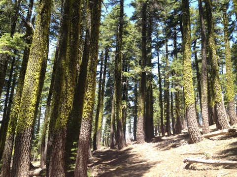 20120714-194652.jpg