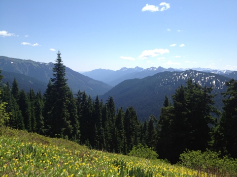 20120731-174151.jpg