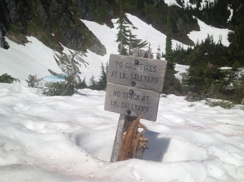 20120731-174448.jpg