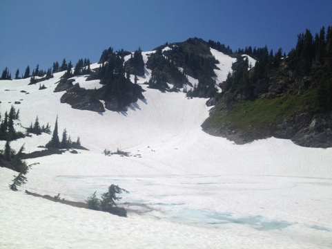20120731-174514.jpg