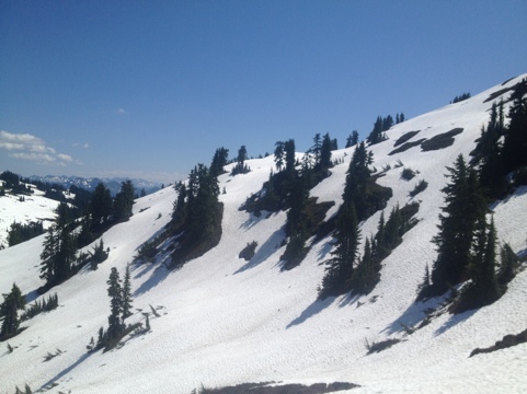 20120731-174542.jpg