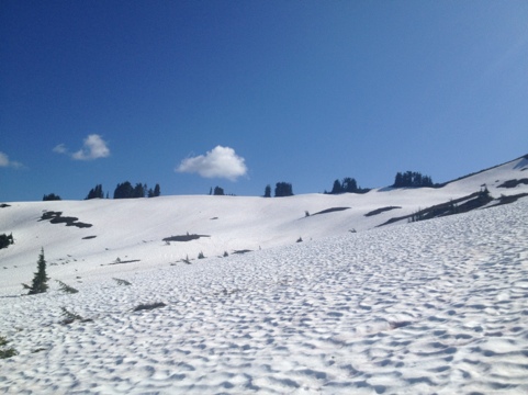 20120731-174727.jpg
