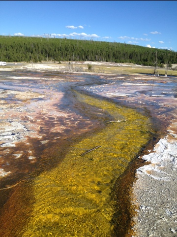 20120906-224523.jpg