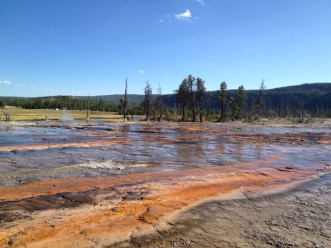 20120906-224538.jpg