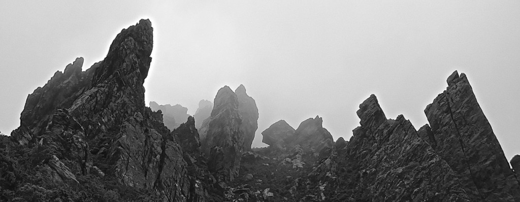 P1020617