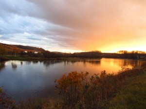 IMG_4038