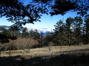img_1608