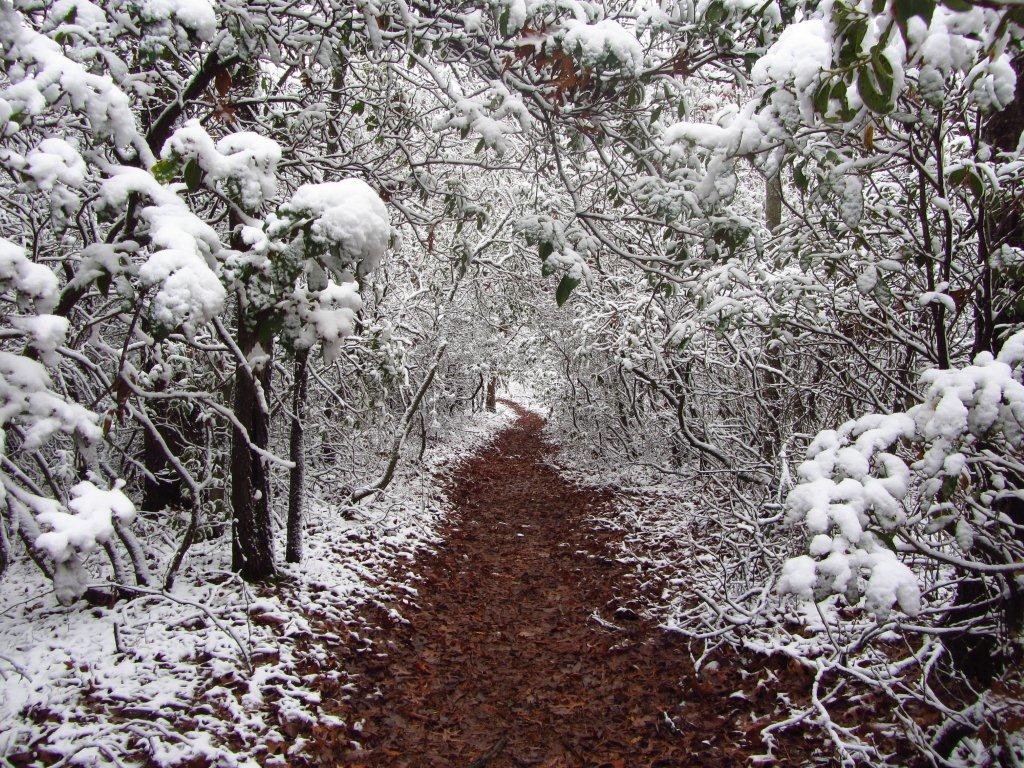 Appalachian Trail | Georgia, USA, 2011